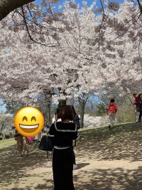IMG_6558.jpeg
