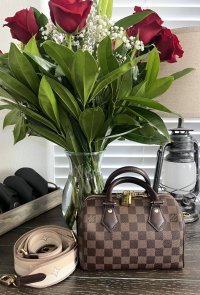 IMG_8459.jpeg