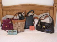 Compressed Just the Bags.jpg