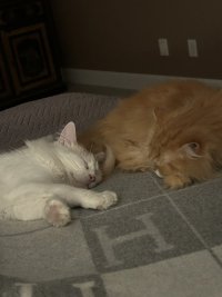 IMG_3871.jpeg