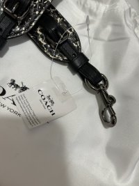 IMG_2336.jpeg