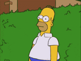 wtf11.gif