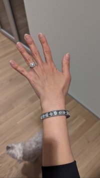 IMG_2573.jpeg
