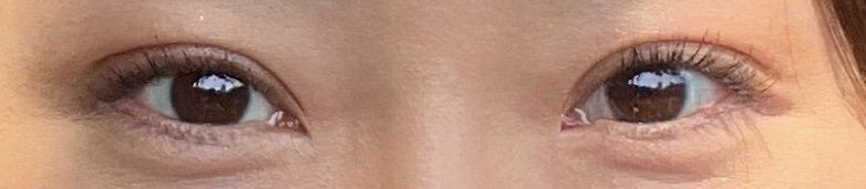 IMG_3977.jpeg