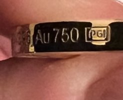 IMG_7983.jpeg