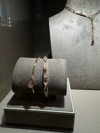 IMG_7684.jpeg