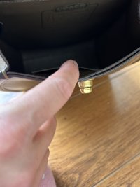 IMG_2404.jpeg