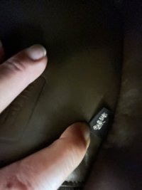 IMG_2398.jpeg