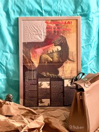 IMG_6801.jpeg