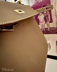 IMG_6732.jpeg