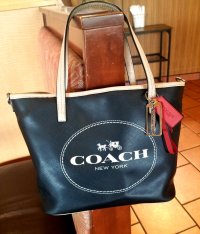 Mini Tote2.jpg
