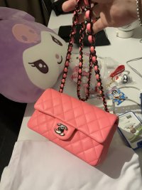 IMG_1247.jpeg