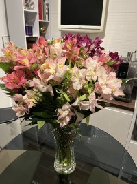 IMG_1795.jpeg