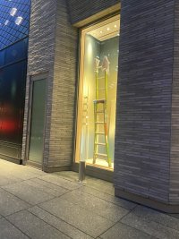 IMG_1983.jpeg