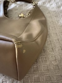 IMG_8913.jpeg