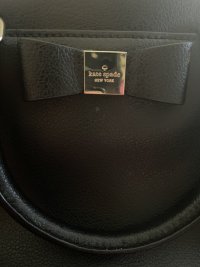 IMG_2536.jpeg