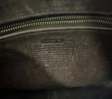 IMG_6037.jpeg