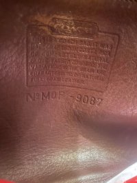 IMG_6038.jpeg