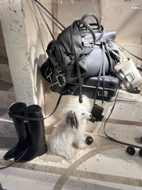 IMG_4084.jpeg