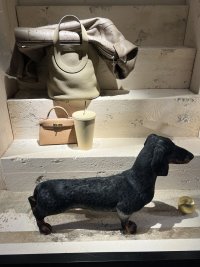 IMG_4093.jpeg