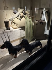 IMG_4094.jpeg