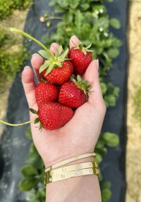 IMG_3038.jpeg
