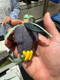IMG_9183.jpeg
