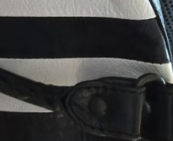 IMG_1012.jpeg