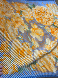 2024-06-04 13_07_30-IMG_5645.HEIC ‎- Photos.png