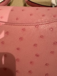 IMG_3940.jpeg