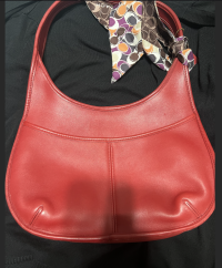 coachbag.png