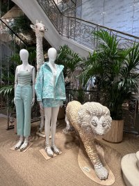 IMG_4666.jpeg