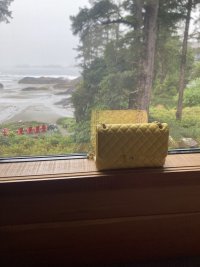 IMG_8335.jpeg