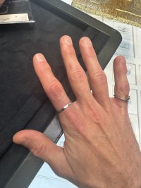 IMG_6355.jpeg