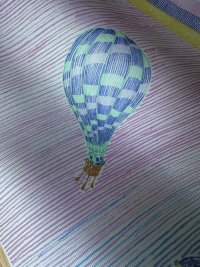 IMG_2018.jpeg