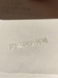 IMG_7963.jpeg