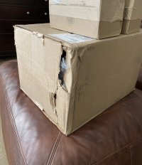 IMG_0011.jpeg