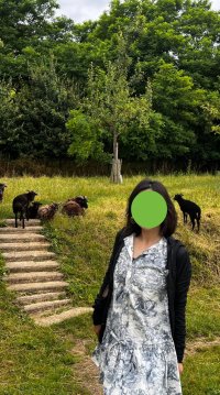 IMG_4353.jpeg
