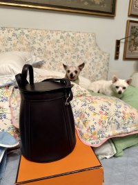 IMG_8042.jpeg