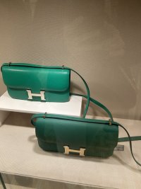 IMG_7350.jpeg