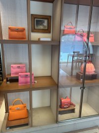 IMG_7356.jpeg