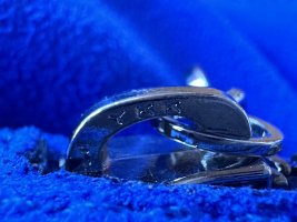 IMG_7532.jpeg