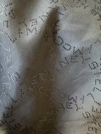 IMG_7540.jpeg