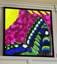 IMG_1285.jpeg