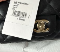 IMG_8291.jpeg