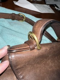 IMG_2201.jpeg
