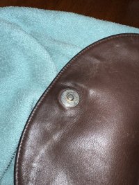 IMG_2203.jpeg