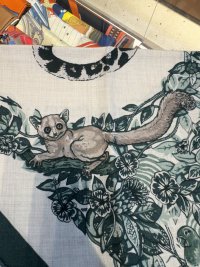 IMG_1514.jpeg