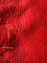 IMG_2664.jpeg