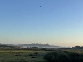 IMG_8779.jpeg